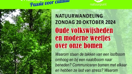 Oude volkswijsheden en moderne weetjes over onze bomen